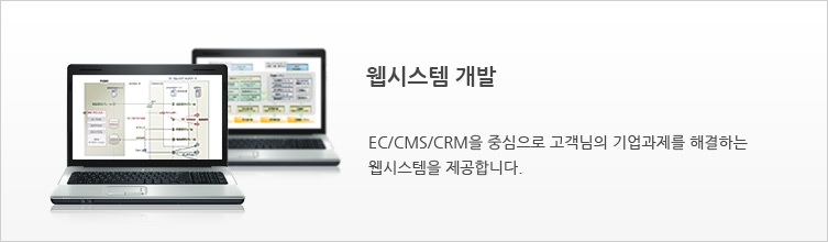 ウェブシステム開発
